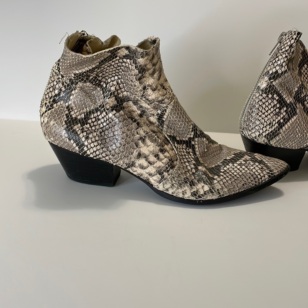 Steve Madden snake booties